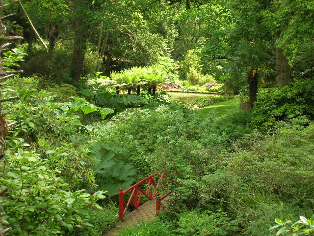 Jardín Subtropical Abbotsbury