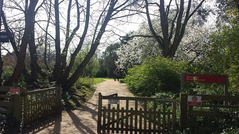 Harris Garden, Reading