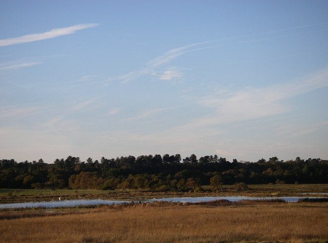 Dingle Marshes