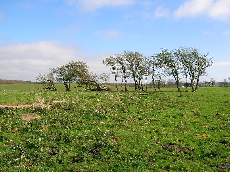 Galrigs Loch