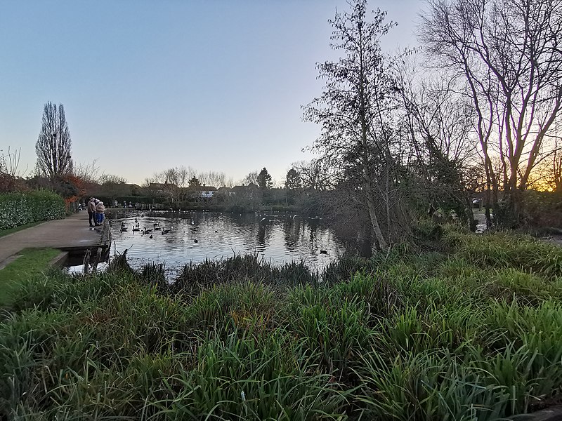 Millers Pond