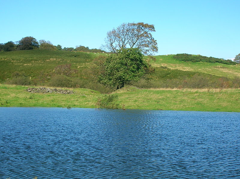Lowes Loch