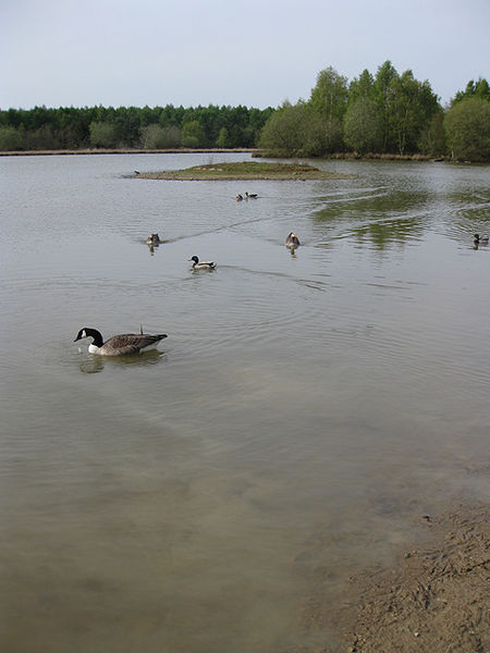 Woorgreens Lake and Marsh