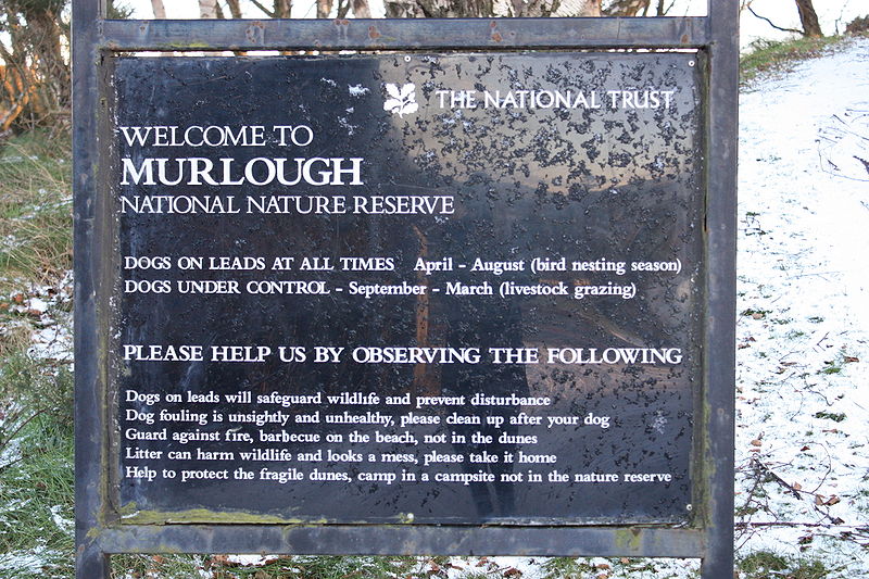 Rezerwat Przyrody Murlough
