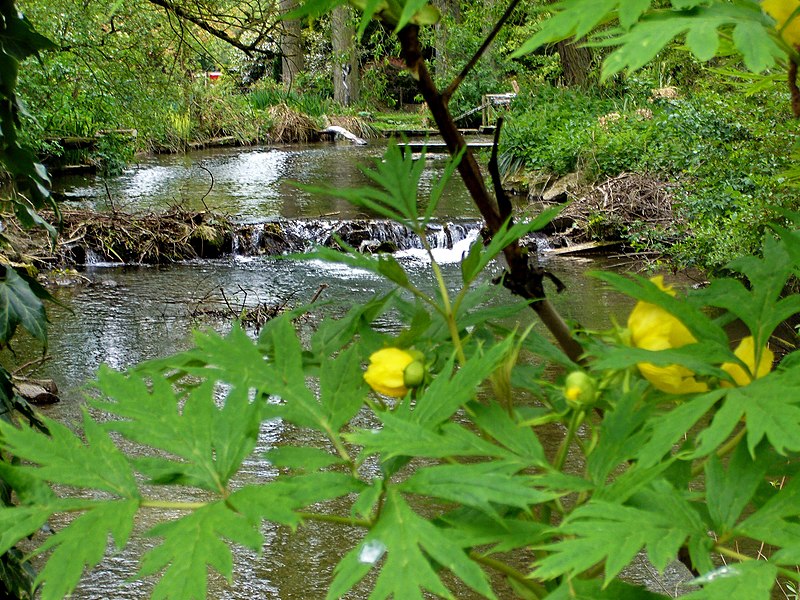 Birdland Park and Gardens