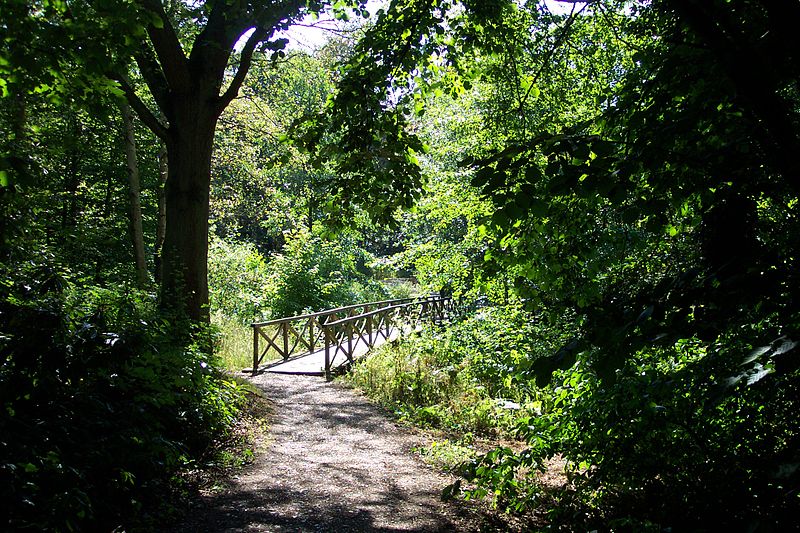 Whiteknights Park