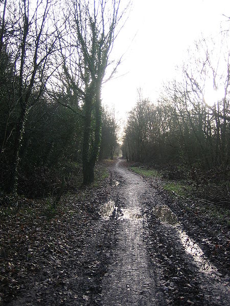Middlewood Way