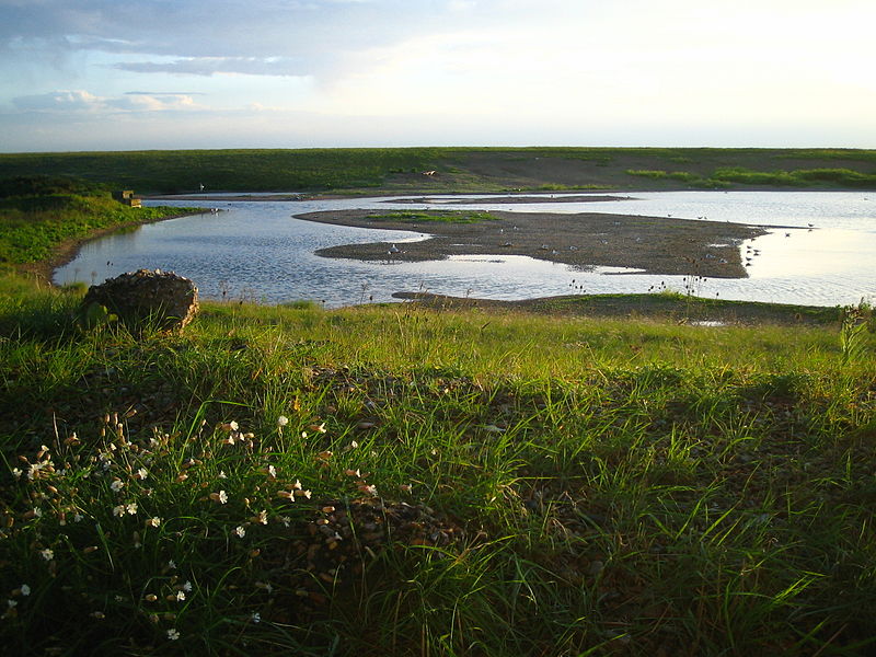 Snettisham RSPB reserve