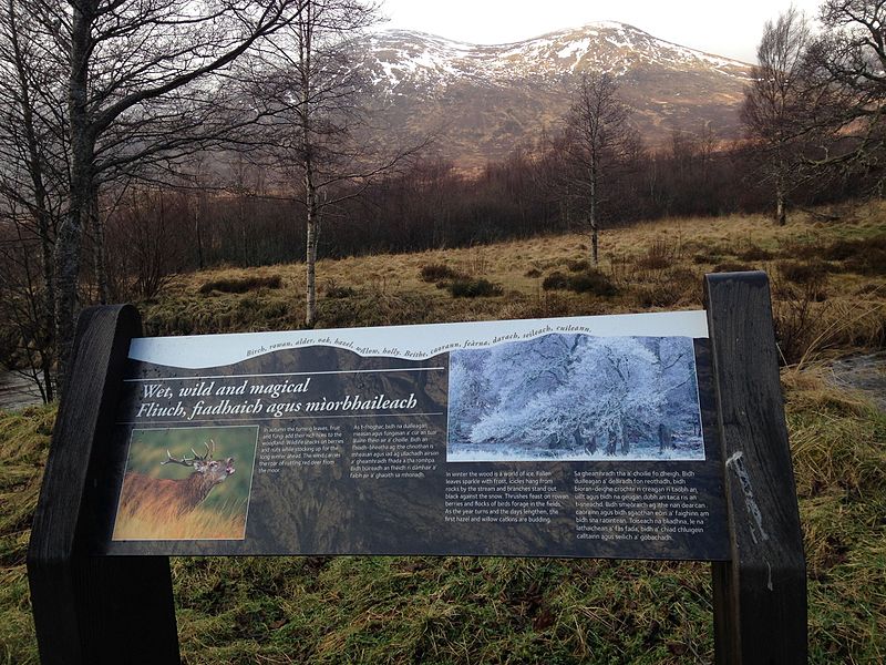 Creag Meagaidh