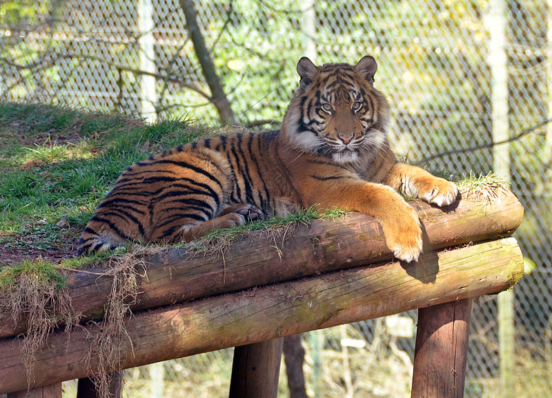 Paignton Zoo