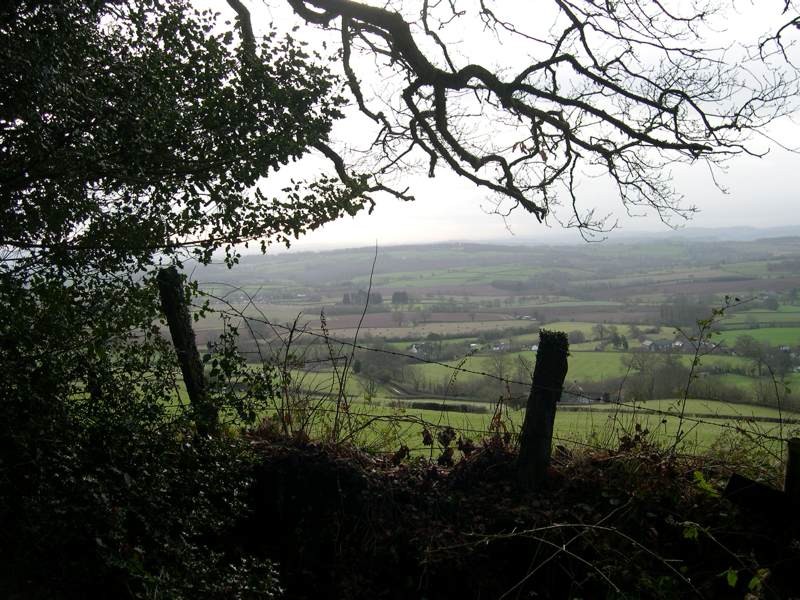 Collines Quantock