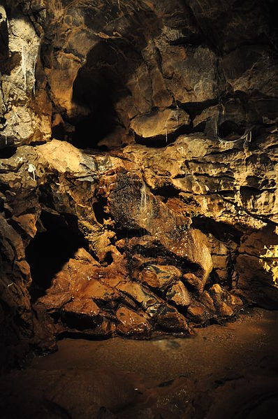 Dan-yr-Ogof