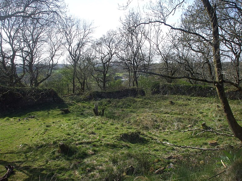 Morgraig Castle