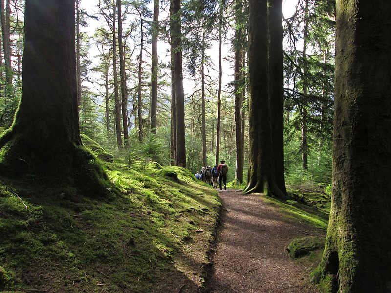 Park Leśny Argyll