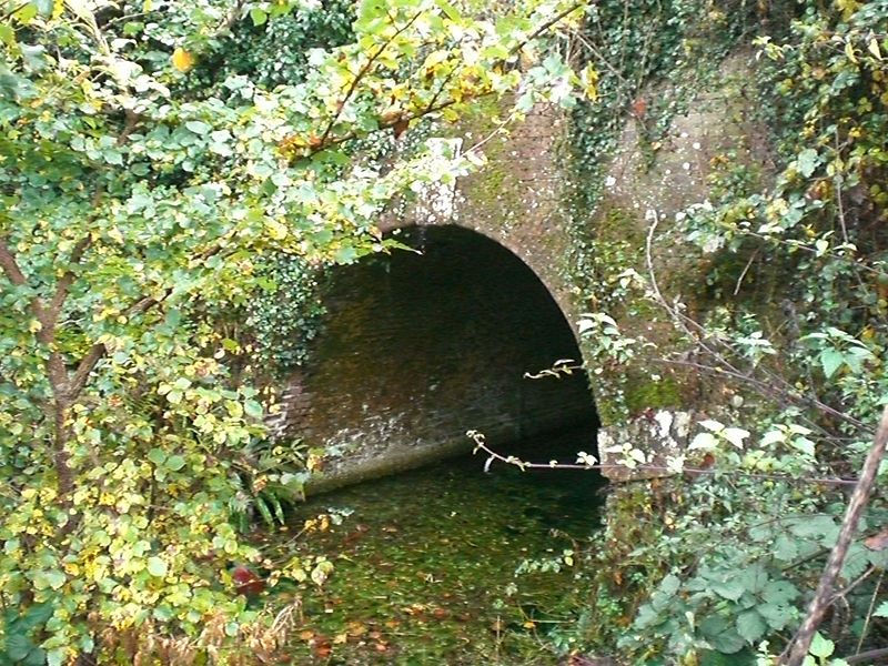 Greywell Tunnel