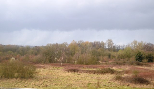 Loddon Nature Reserve, Parque nacional de South Downs