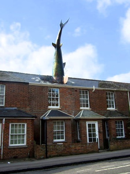 Headington Shark