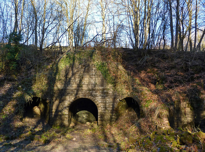 Muiravonside Country Park