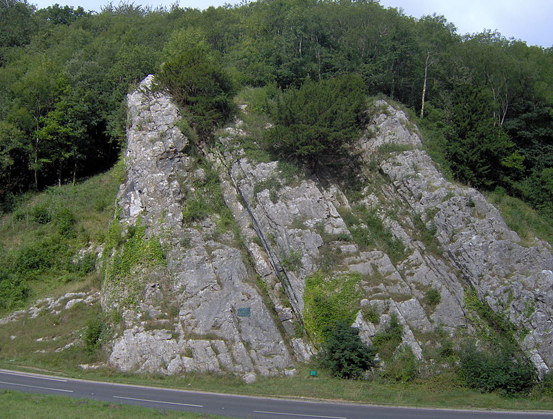 Burrington Combe