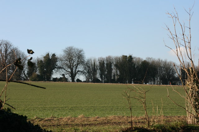 Lullingstone Castle