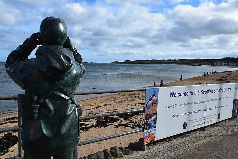 Scottish Seabird Centre