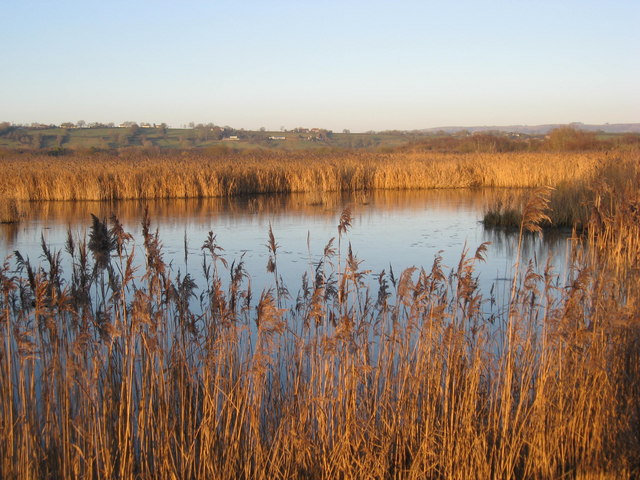 Westhay Moor