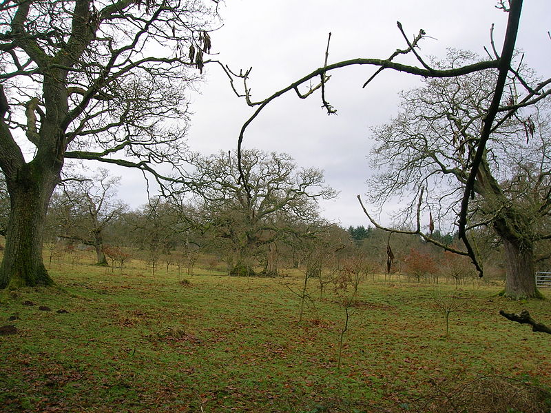 Chatelherault Country Park