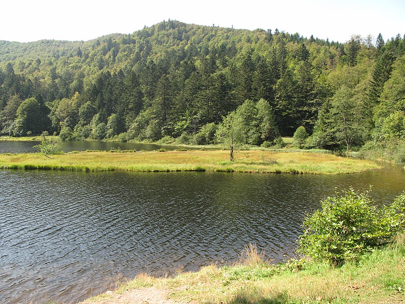 Lochan Saorach