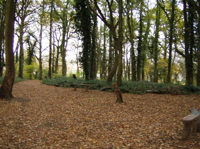 Lousehill Copse