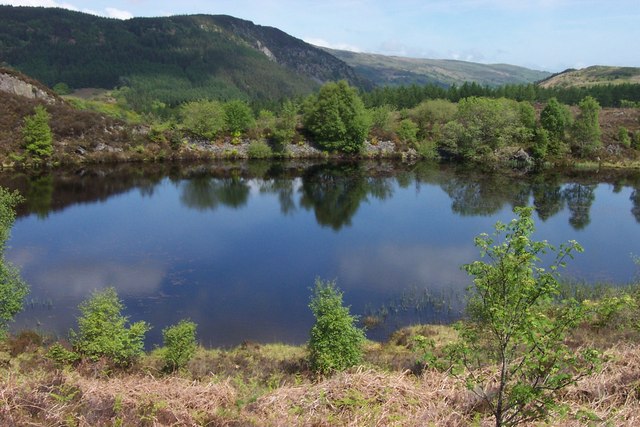 Forêt de Gwydir