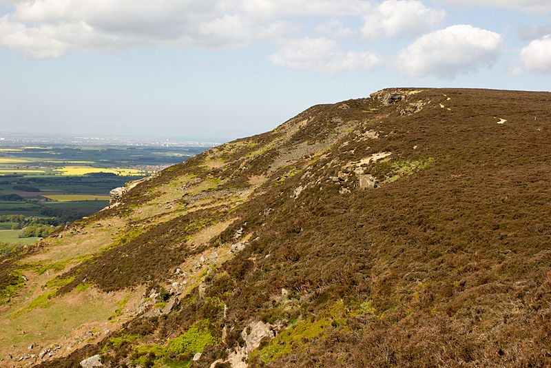 Carlton Bank