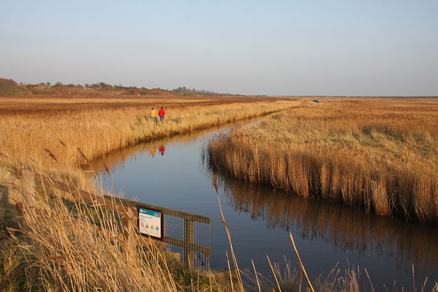 Narodowy Rezerwat Przyrody Suffolk Coast