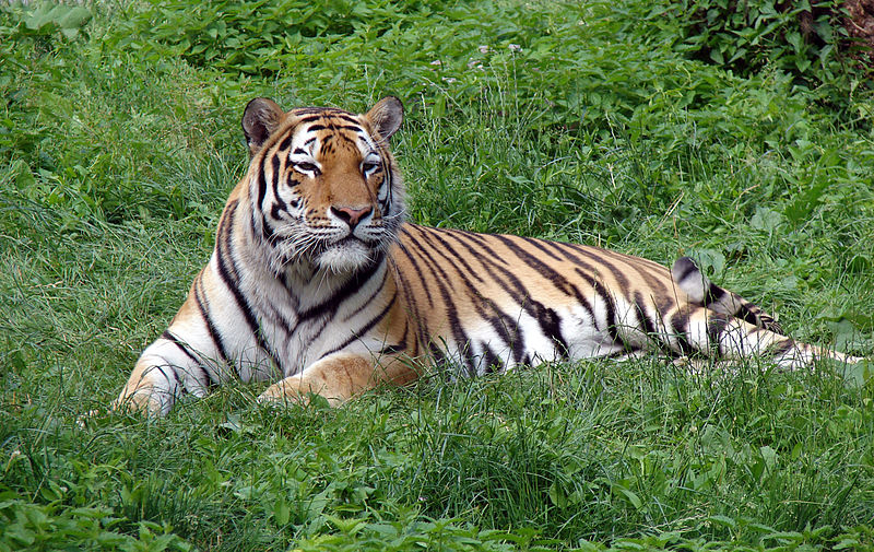 Blackpool Zoo