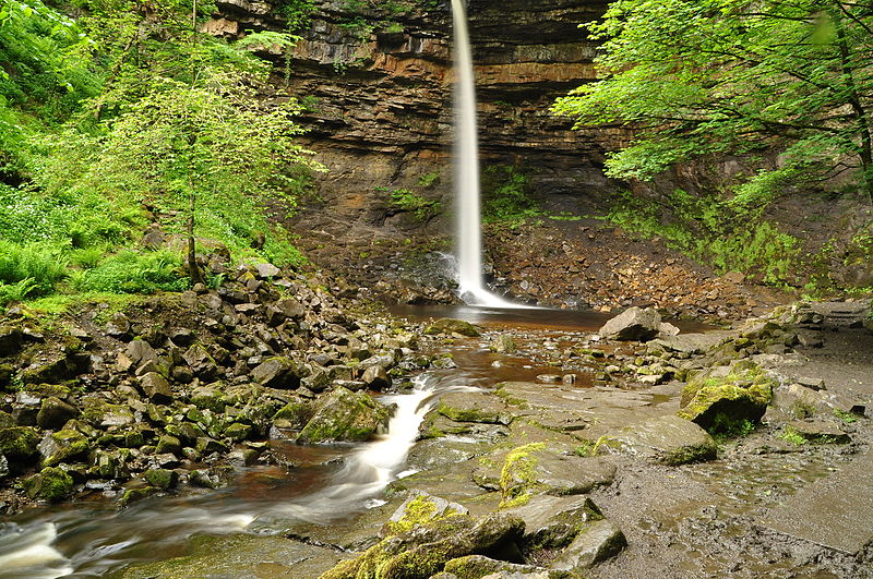 Hardraw Force