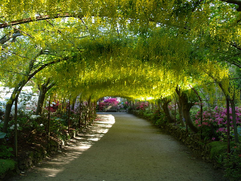 Bodnant Garden