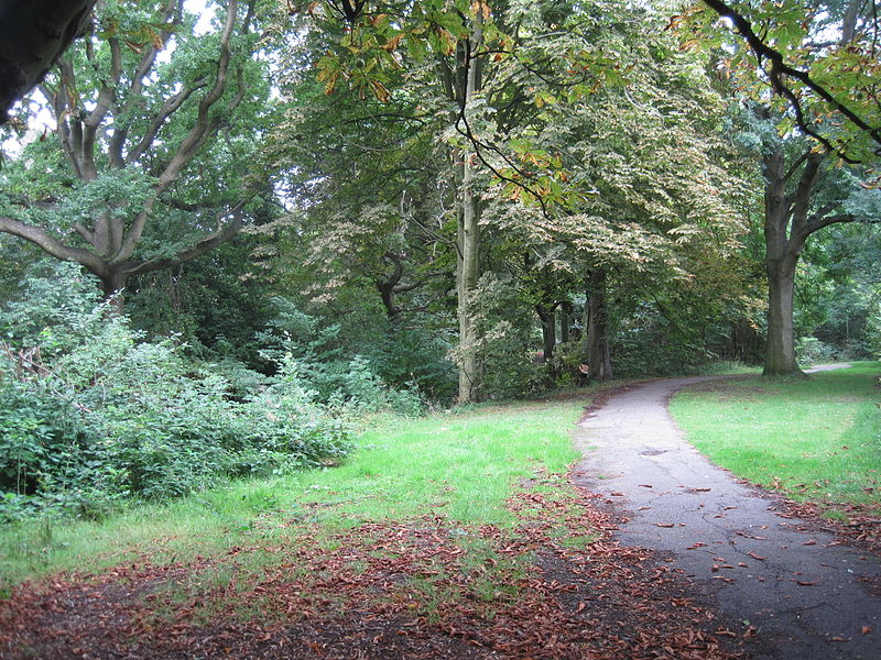 Lyttelton Playing Fields