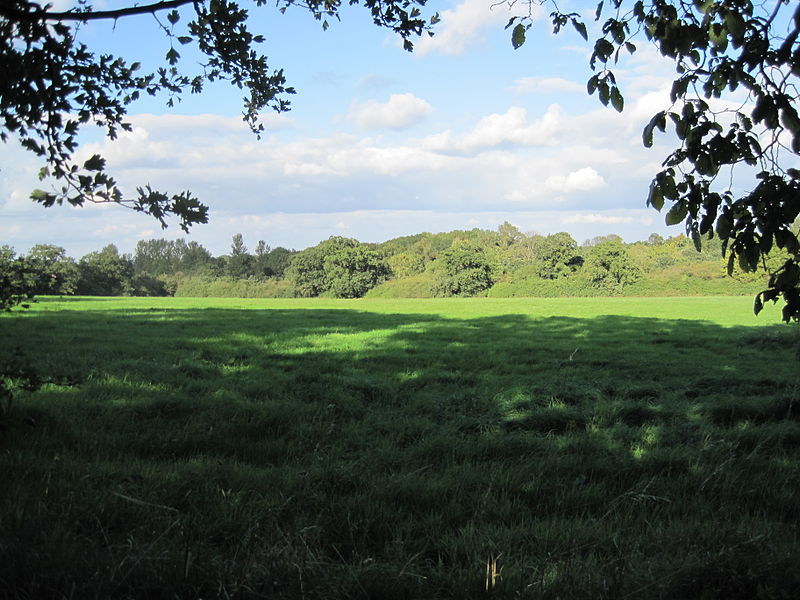 Arkley Lane and Pastures