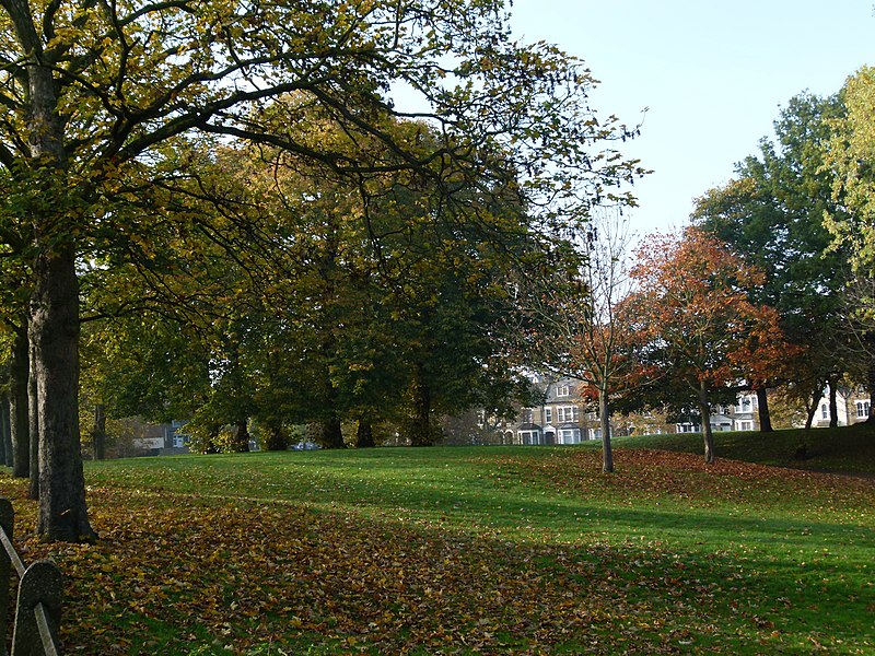 Plumstead Common