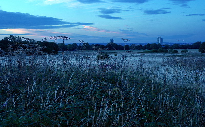Woolwich Common