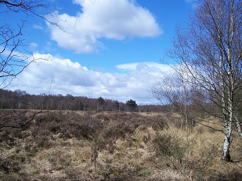 Sutton Park