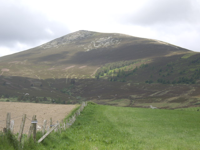 Ben Rinnes