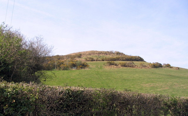 Hardown Hill