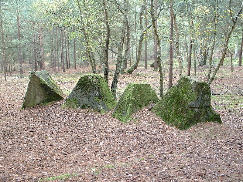 Hankley Common