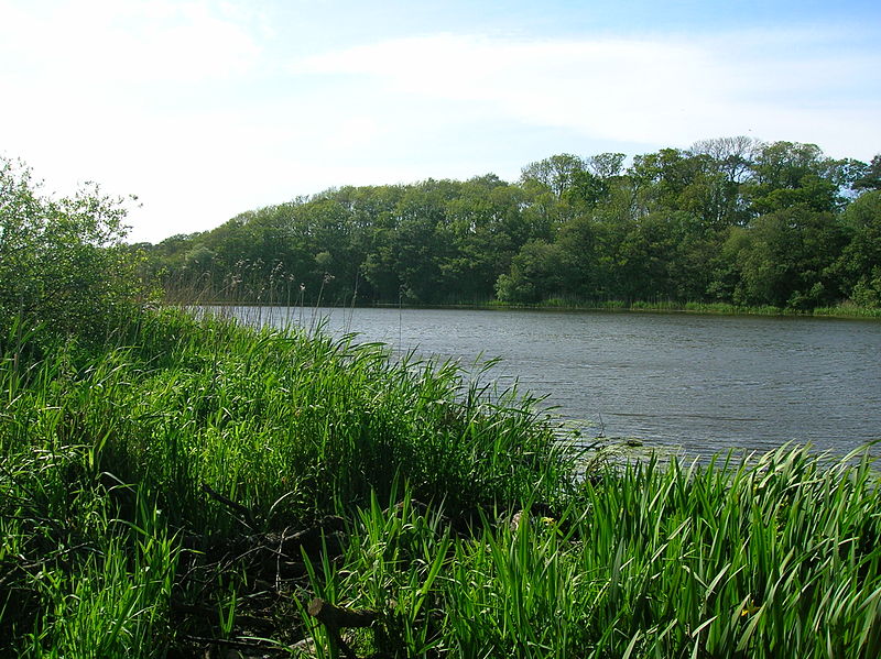 Loch Fergus