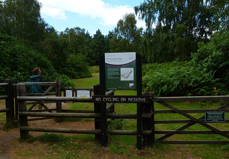 Reserva natural de Dersingham Bog