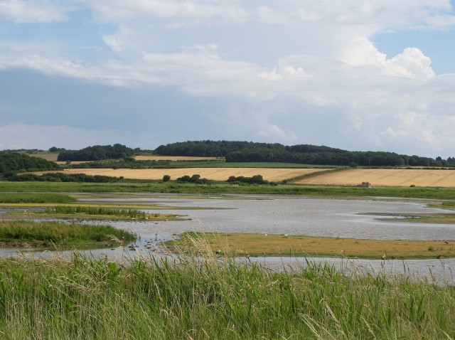 Cley Marshes