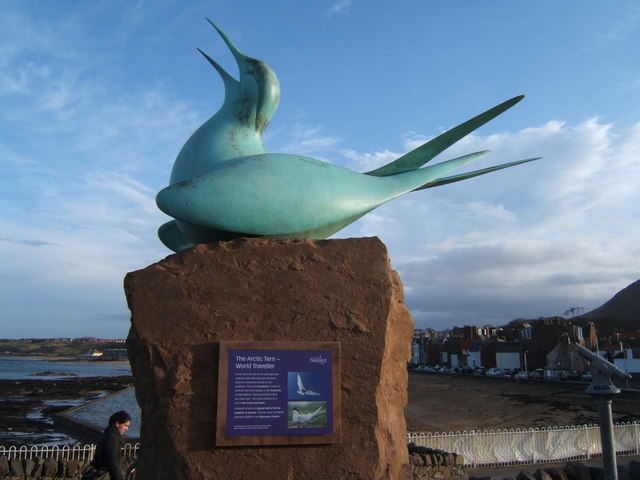 Scottish Seabird Centre