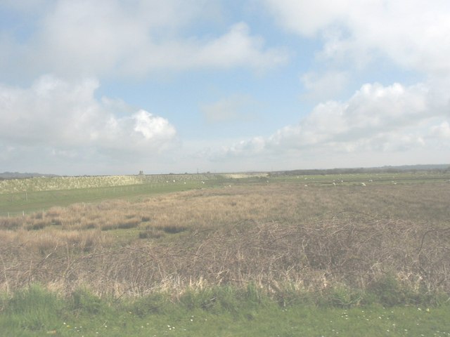 Malltraeth Marsh