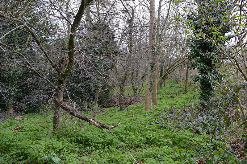 Albans Wood, Watford