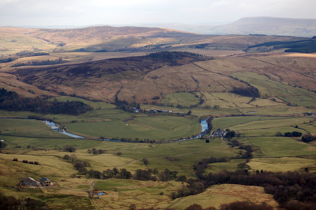 Bowland Forest Low